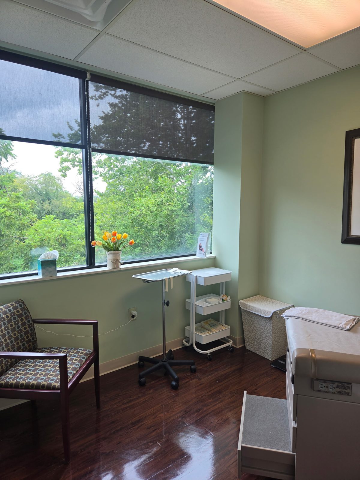 A treatment room with a view of the trees